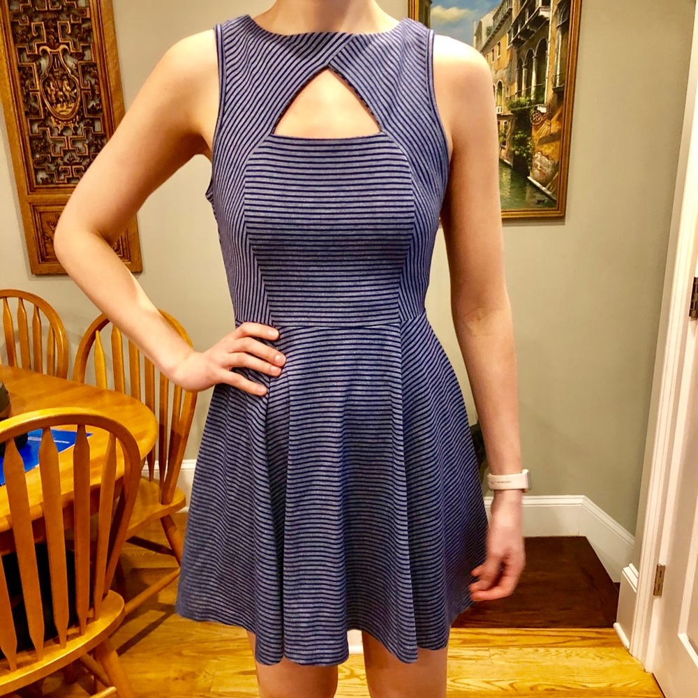 Blue and White Striped Fit and Flare Dress